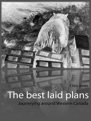cover image of The best laid plans